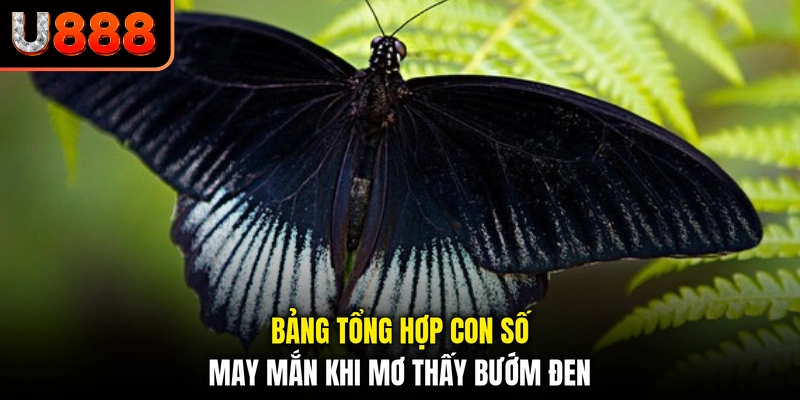 Bảng tổng hợp con số may mắn khi mơ thấy bướm đen