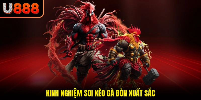 Kinh nghiệm soi kèo gà đòn xuất sắc