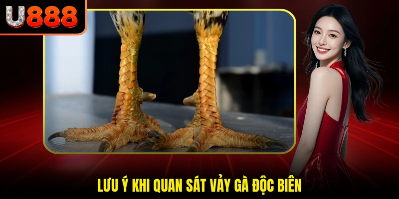 Lưu ý khi quan sát vảy gà độc biên